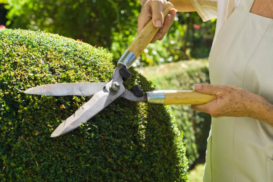 South East Landscaping LLC's Other Services