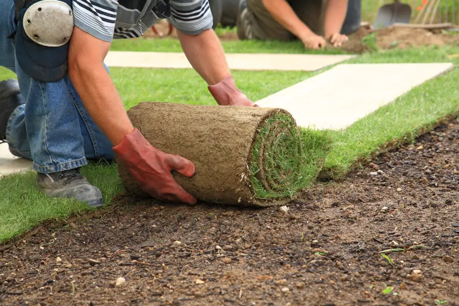 Synthetic Grass Installation